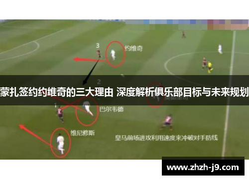 蒙扎签约约维奇的三大理由 深度解析俱乐部目标与未来规划